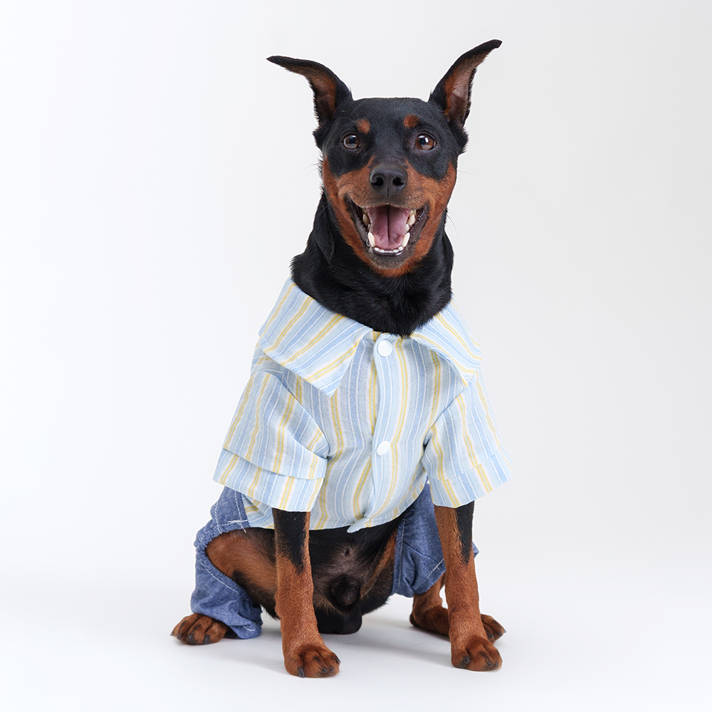 

RURRI Костюм джинсовый с рубашкой для собак, Коричневый