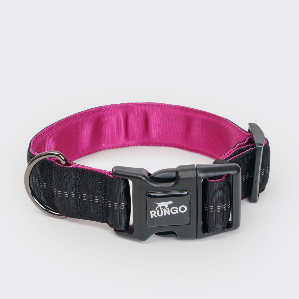 

Rungo Ошейник для собак Downtown Extra Wide, S-M, черный с орхидеей, Фиолетовый