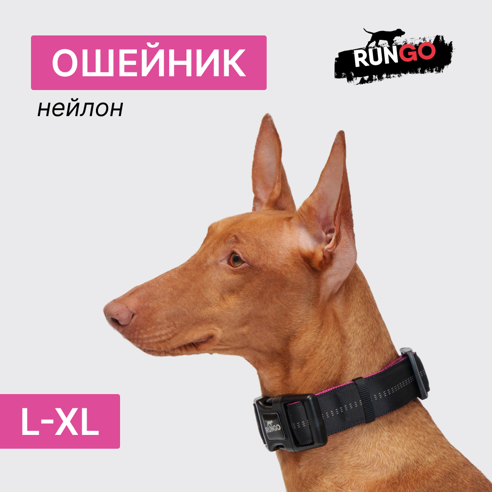

Rungo Ошейник для собак Downtown Extra Wide, L-XL, черный с орхидеей, Фиолетовый