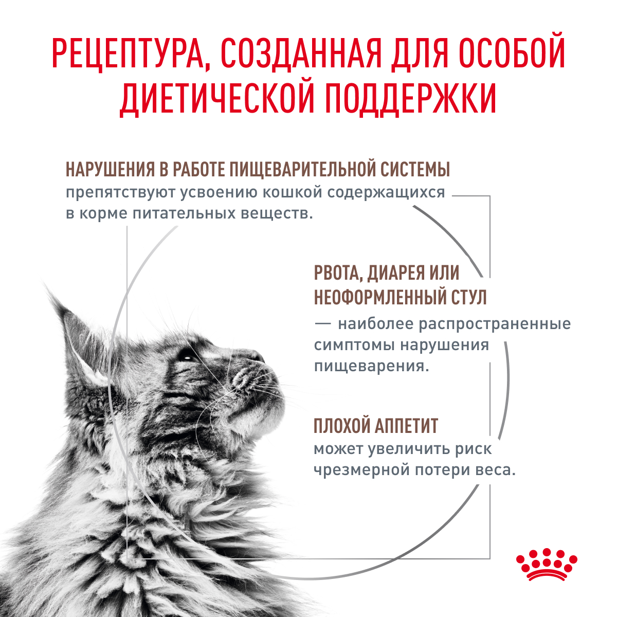 

Royal Canin Gastrointestinal GI32 S/O Сухой корм при лечении ЖКТ для кошек, 2 кг