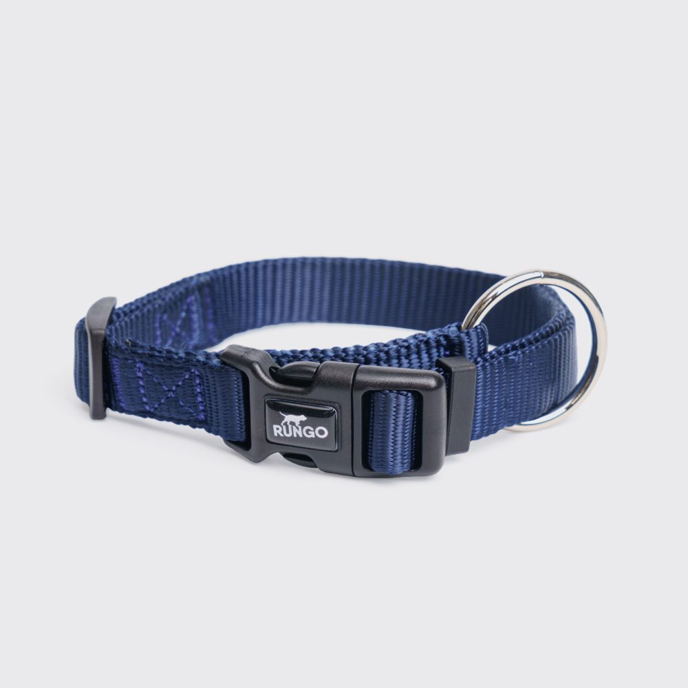 

Rungo Ошейник нейлоновый для собак, обхват шеи , ширина 2 см, синий