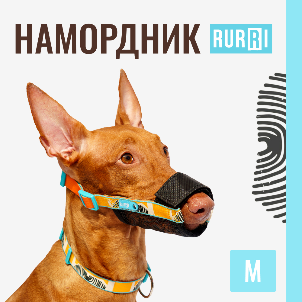 

RURRI Намордник нейлоновый для собак Саванна, M, обхват морды 20-22 см, оранжевый