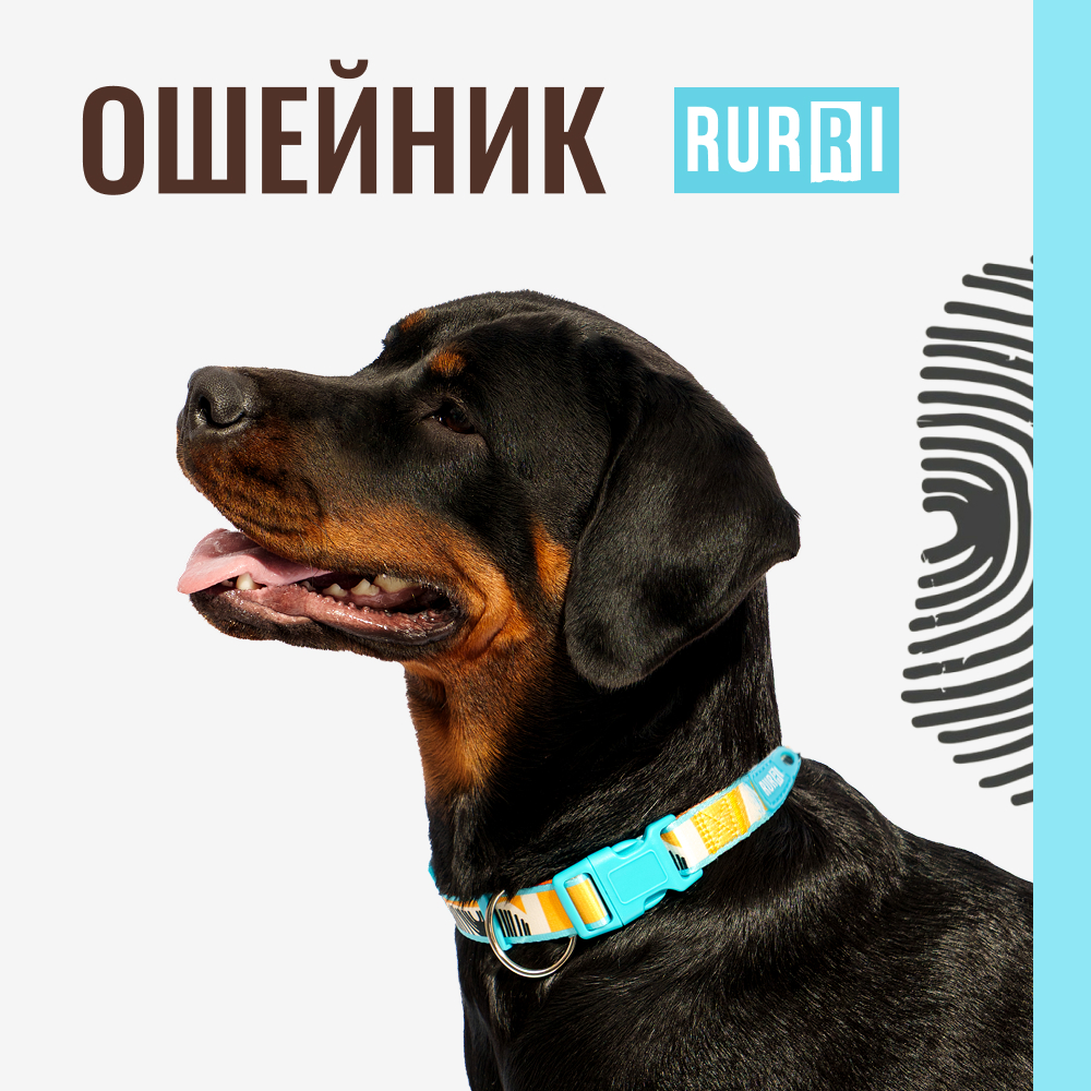 

RURRI Ошейник для собак Саванна, обхват шеи , ширина 2 см, оранжевый