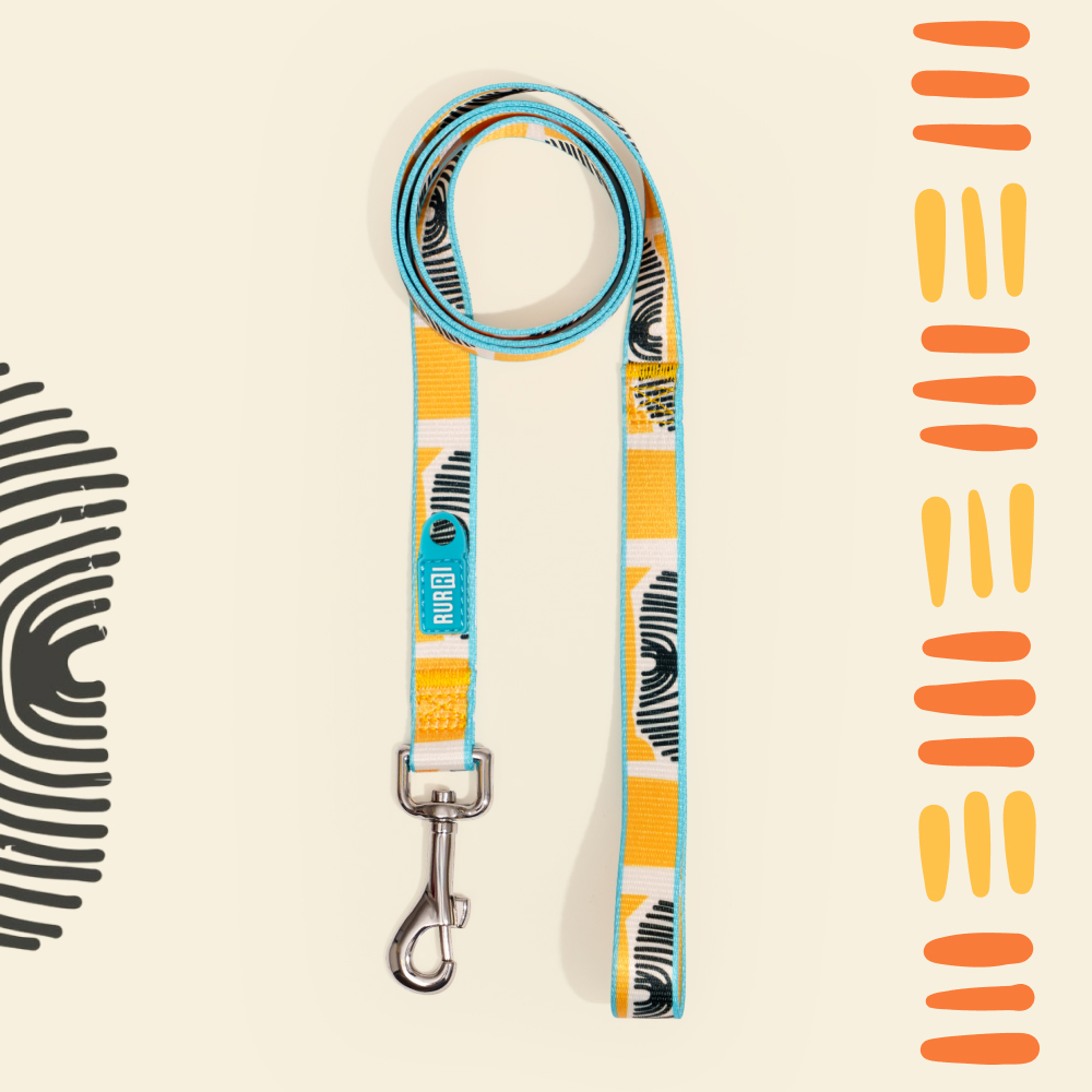 

RURRI Поводок нейлоновый для собак Саванна, длина 120 см, ширина 1,5 см, оранжевый