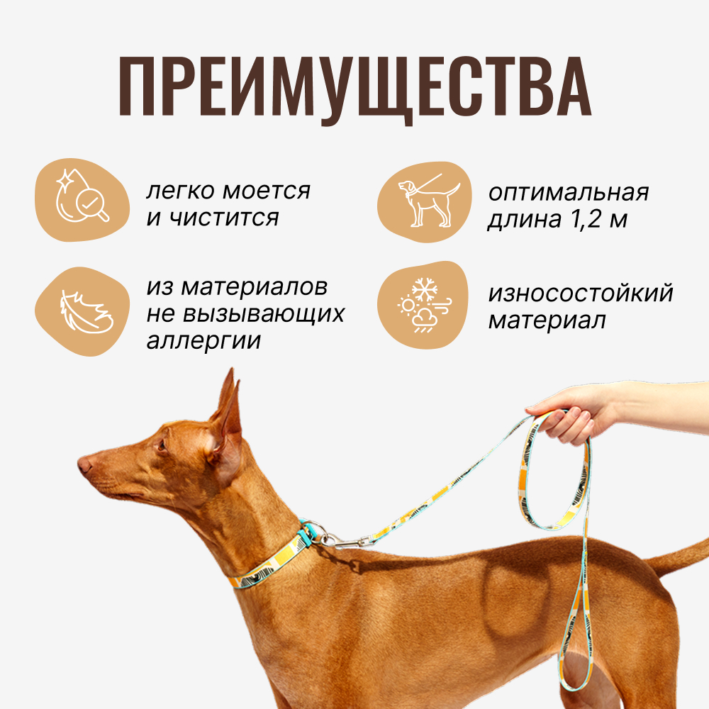 

RURRI Поводок нейлоновый для собак Саванна, длина 120 см, ширина 1,5 см, оранжевый