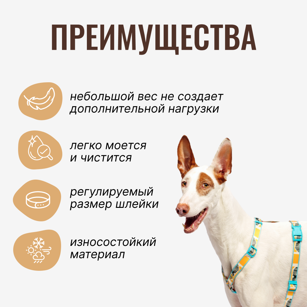 

RURRI Шлейка для собак Vario Саванна, обхват груди , ширина ремешка 2,5 см, оранжевый