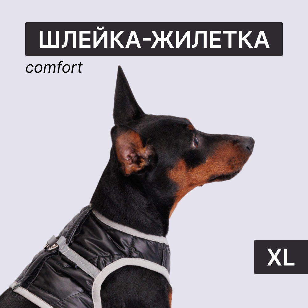 

Rungo Шлейка-жилетка для собак Comfort, , обхват груди 24-27 см, черный