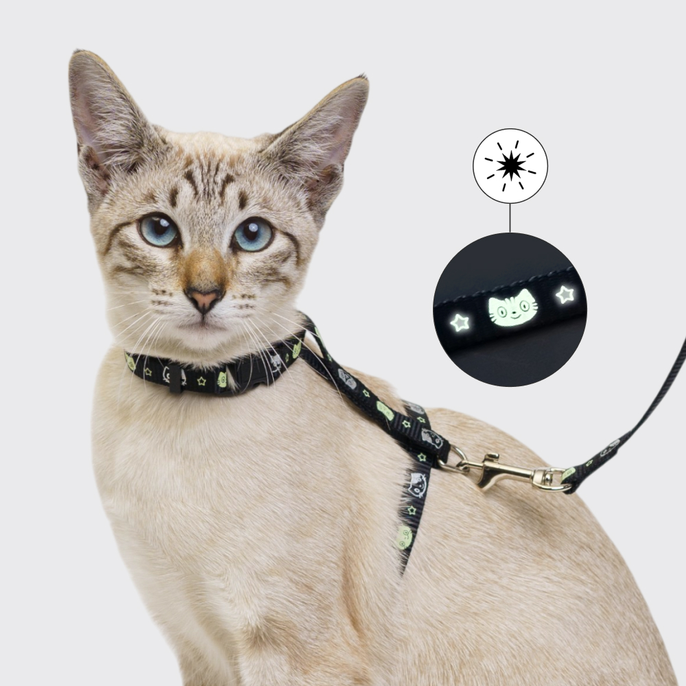 

Petmax Шлейка+поводок для кошек 10мм/37см черный