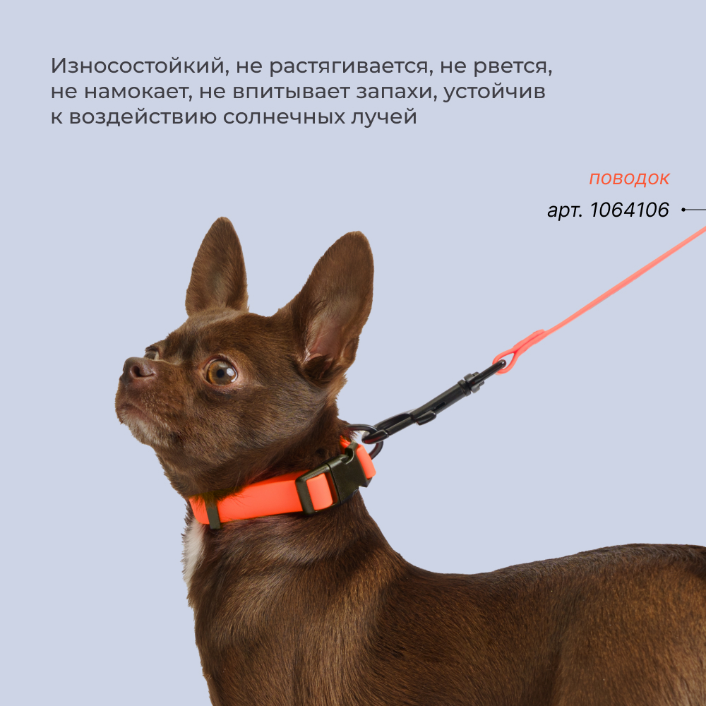 

HiPet Ошейник из биотана для собак, M-L, длина 34-55 см, ширина 2,5 см оранжевый