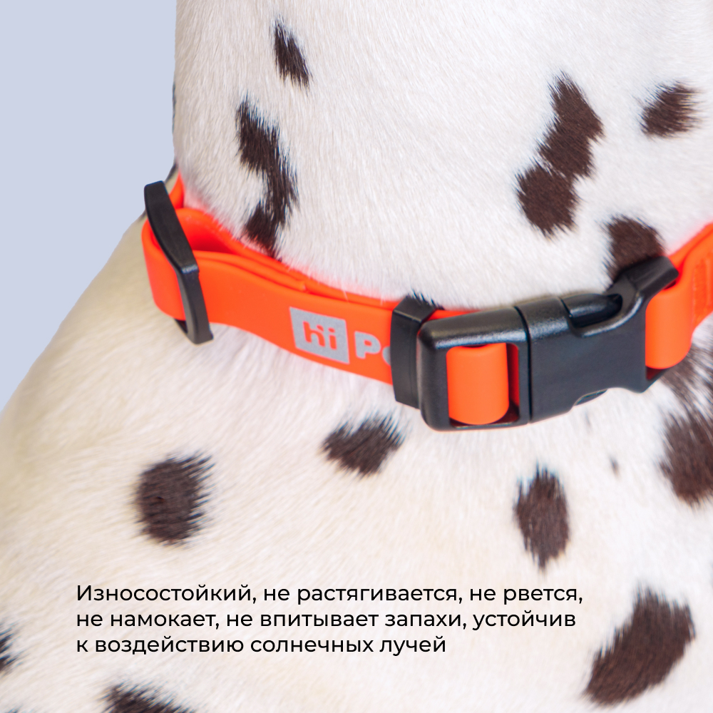 

HiPet Ошейник из биотана для собак, M-L, длина 34-55 см, ширина 2,5 см оранжевый