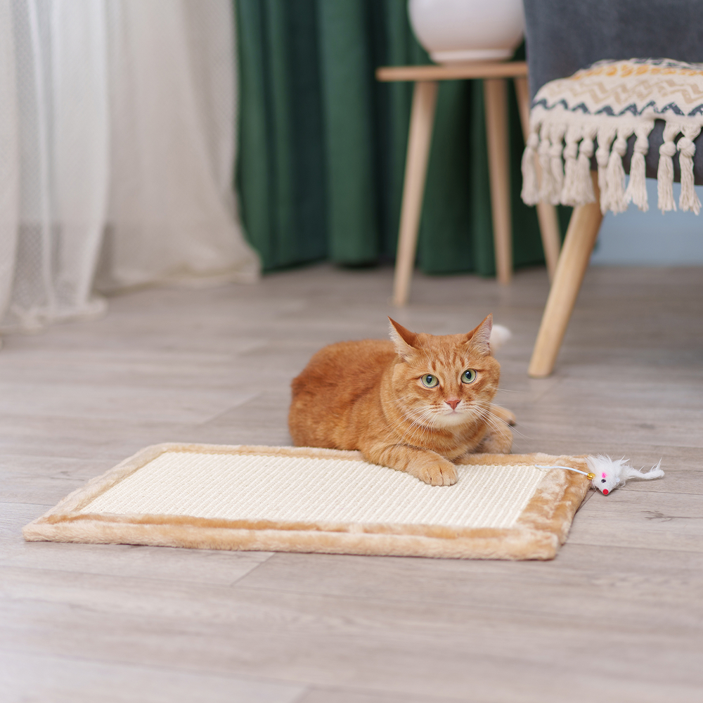 

Petmax Когтеточка-коврик (55х35х1 см) с игрушкой для кошек, Разноцветный