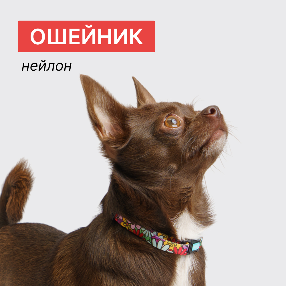 

RURRI Ошейник для собак Flower Power, обхват шеи 18-25 см, ширина 1 см, голубой