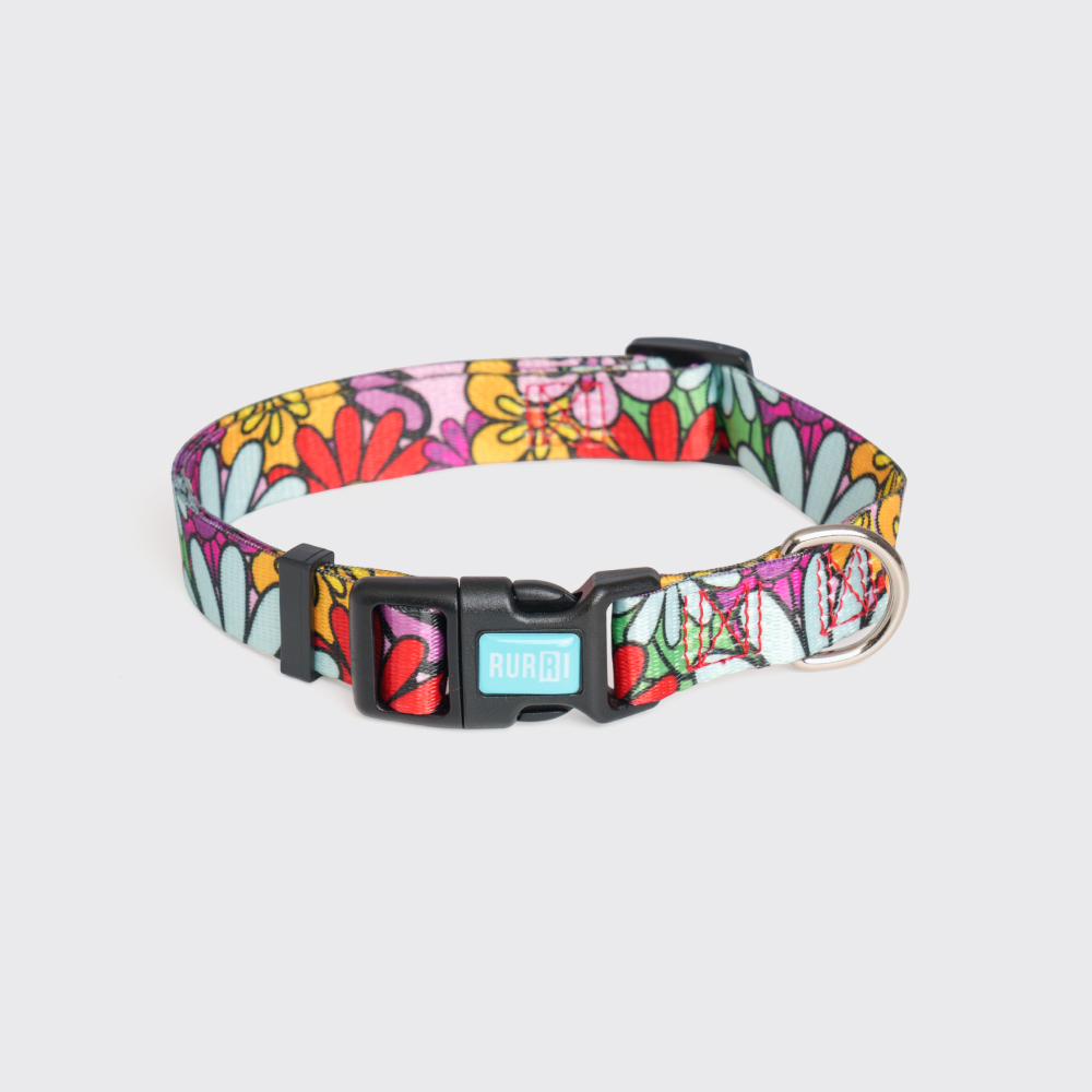

RURRI Ошейник для собак Flower Power, обхват шеи 35-53 см, ширина 2 см, голубой