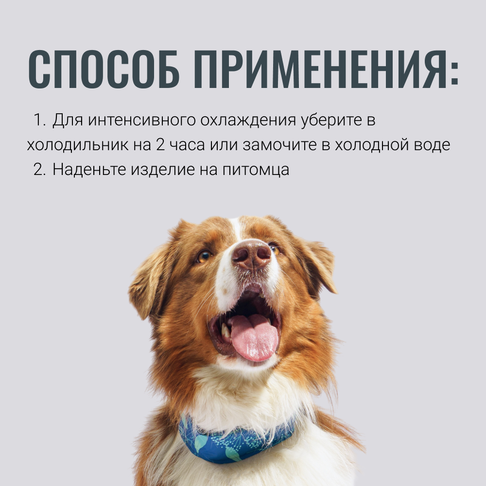 

RURRI Ошейник охлаждающий для собак, 63,5x6,2 см, синий