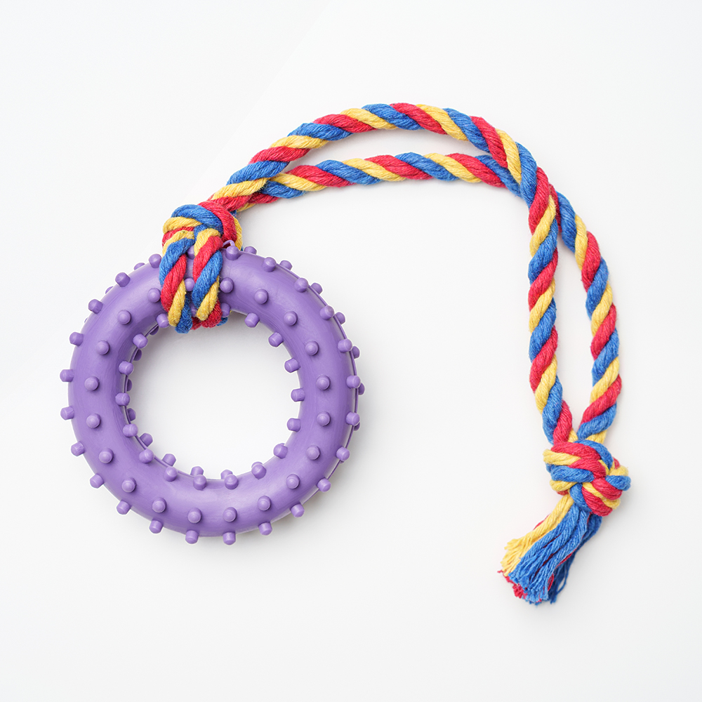 

Pet hobby Игрушка для собак Кольцо с шипами на веревке, 8 см, Фиолетовый