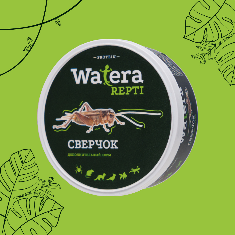 

WATERA Сверчок консервированный для рептилий, грызунов, птиц и рыб, 40 гр.