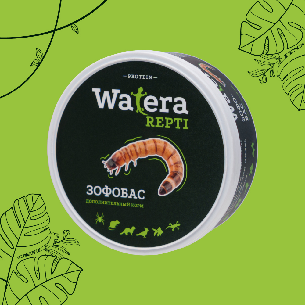 

WATERA Зофобас консервированный для рептилий, грызунов, птиц и рыб, 40 гр.