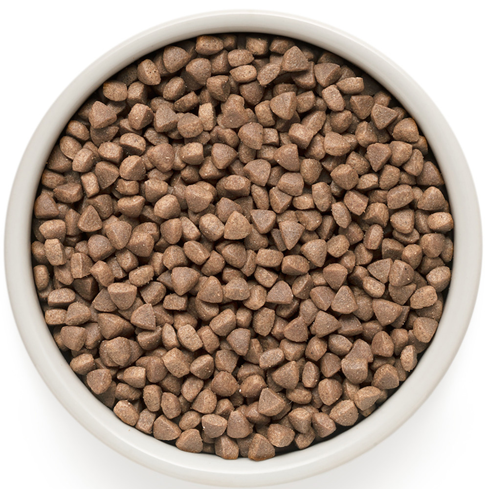 

Grandorf Holistic Skin & Coat Care Сухой корм для кошек от 1 года с проблемной кожей и шерстью или склонных к аллергии, с белой рыбой и индейкой, 2 кг