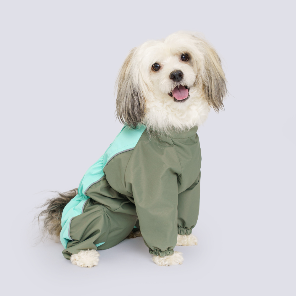 

Rungo Дождевик для собак породы вестхайл и джек рассел, обхват шеи 40 см, обхват груди 63 см, длина спины 35 см, хаки (мальчик), Зеленый