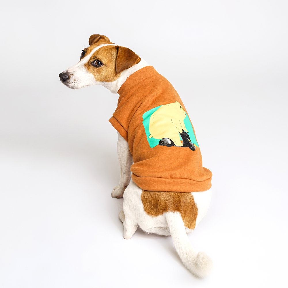 

Petmax Толстовка с медведем для кошек и собак, , коричневый