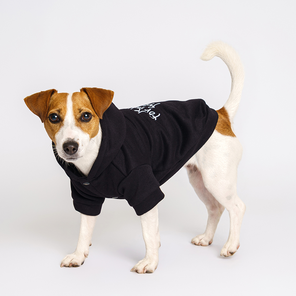 

RURRI Толстовка с капюшоном для кошек и собак, , черный