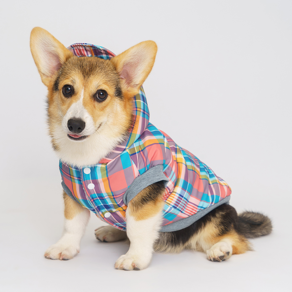 Petmax Куртка с капюшоном в клетку для собак, 2XL, разноцветный