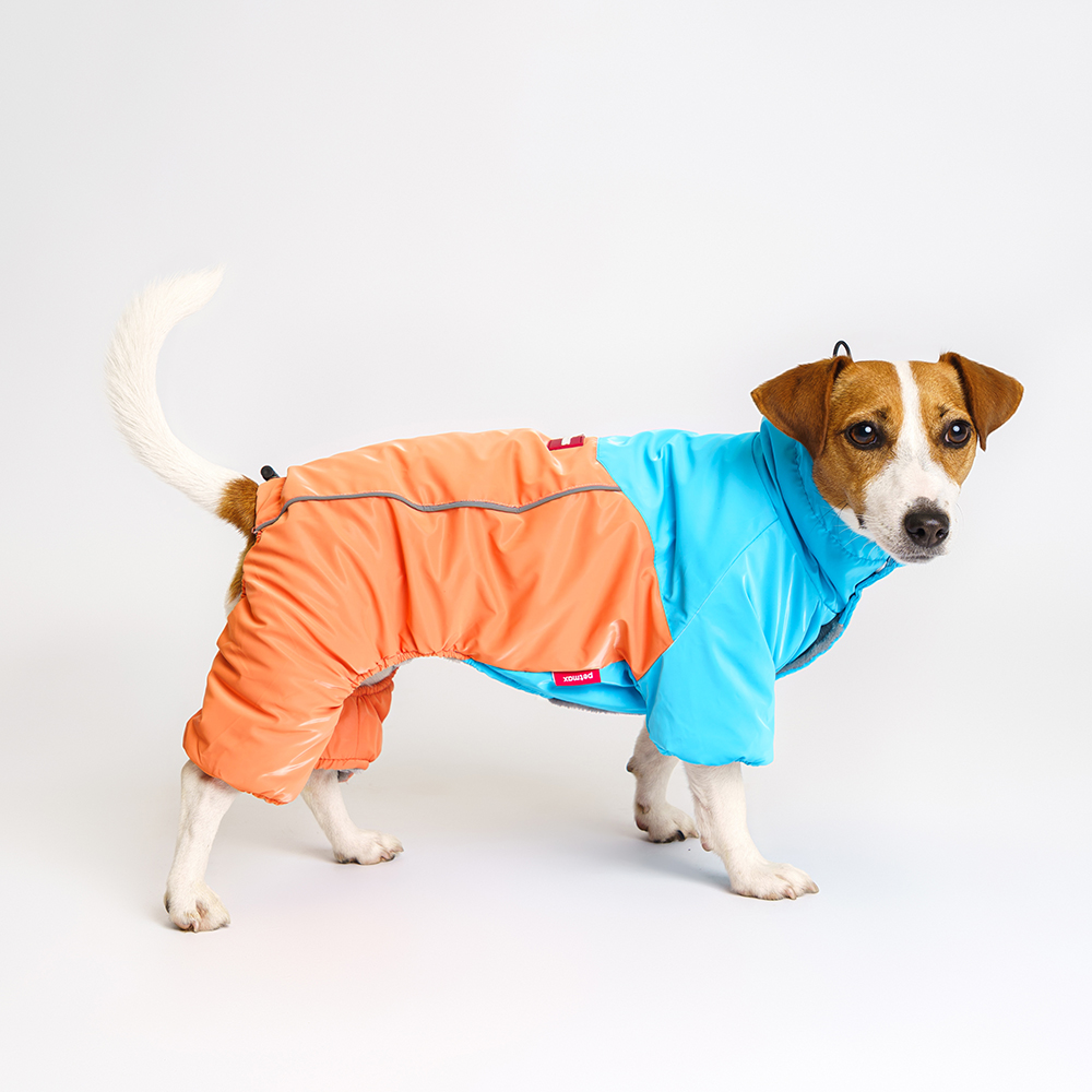 Petmax Комбинезон для собак, 2XL, сине-оранжевый