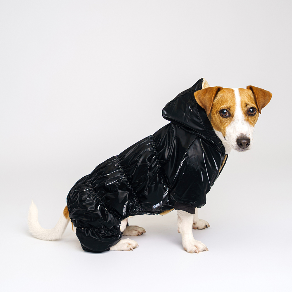 

RURRI Комбинезон для собак, , черный