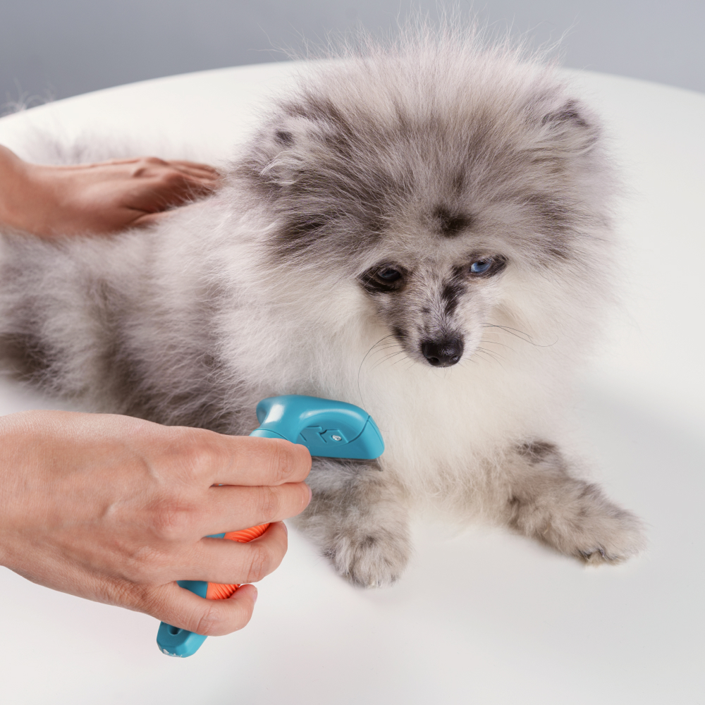 

Petmax Расческа-триммер для кошек и собак со средней и длинной шерстью, , 15,5х8 см, Синий