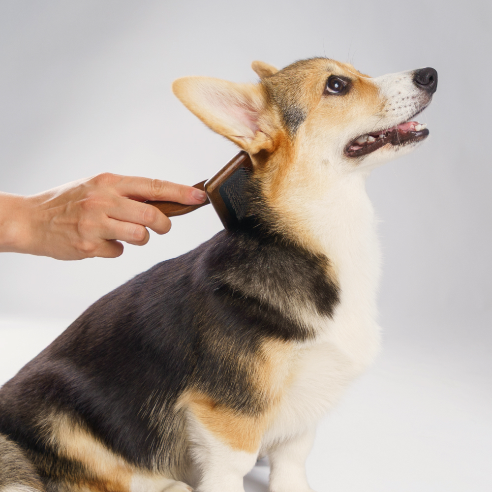 

RURRI Пуходерка для кошек и собак, , 15,5х9,5 см, темное дерево, Коричневый