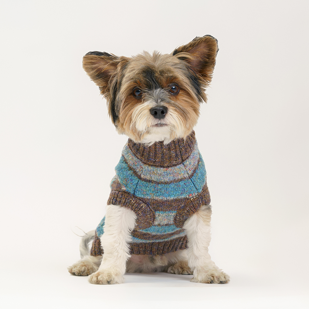 

RURRI Свитер в полоску для кошек и собак, Голубой