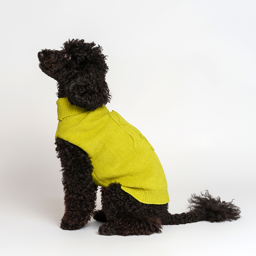 

RURRI Свитер для кошек и собак, , салатовый