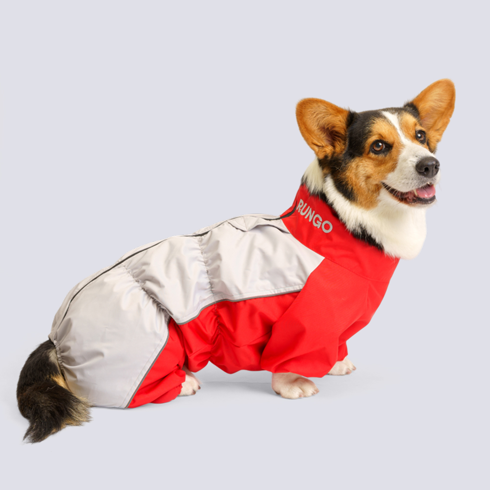

Rungo Дождевик для собак породы вельш-корги, обхват шеи 55 см, обхват груди 74 см, длина спины 44 см, красный (мальчик)