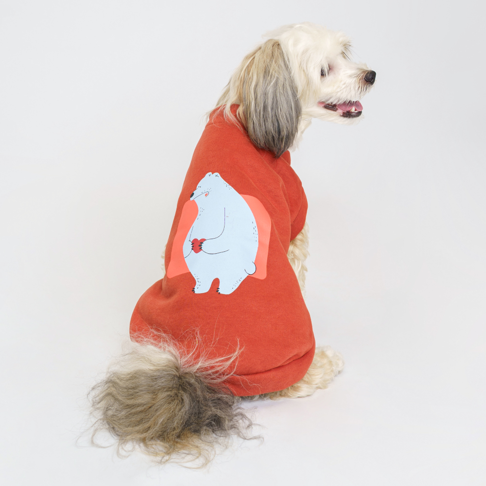 

Petmax Толстовка с медведем для кошек и собак, , терракотовый, Коричневый