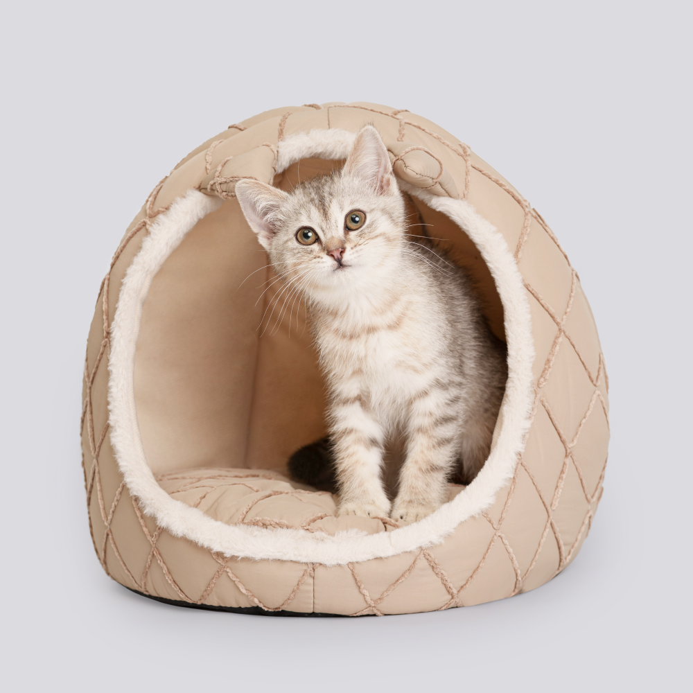

RURRI Дом с ушками для кошек и собак, 35х35х32 см, бежевый
