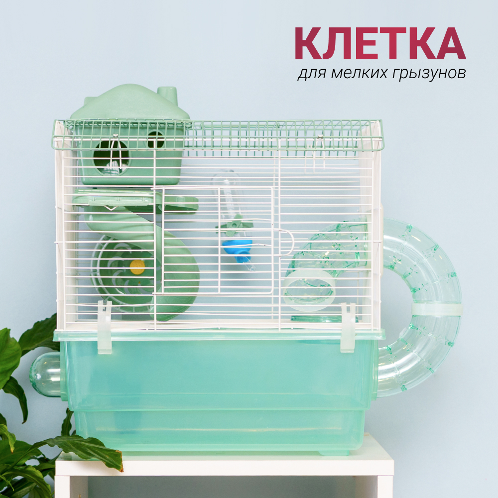 

Petmax Клетка для грызунов, 35,5х28х37,5 см, бело-зеленая, Разноцветный