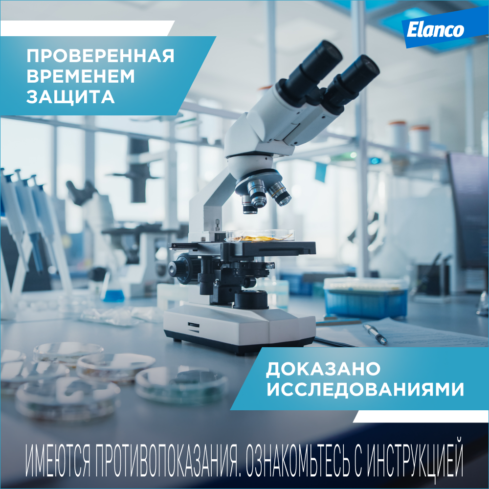 

Elanco Килтикс ошейник для мелких пород собак от блох и клещей, 35 см