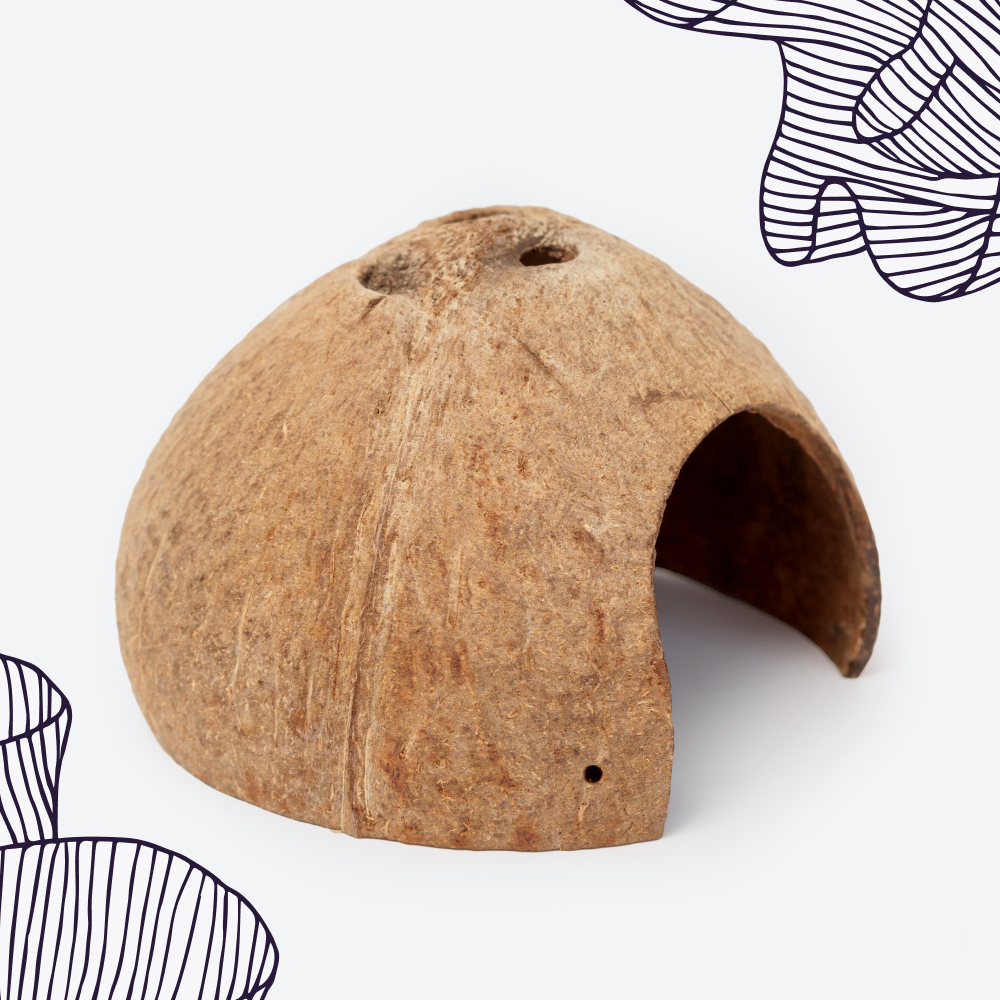 

WATERA Repti Кокосовый домик для рептилий, диаметр 12 см, высота 7,5 см