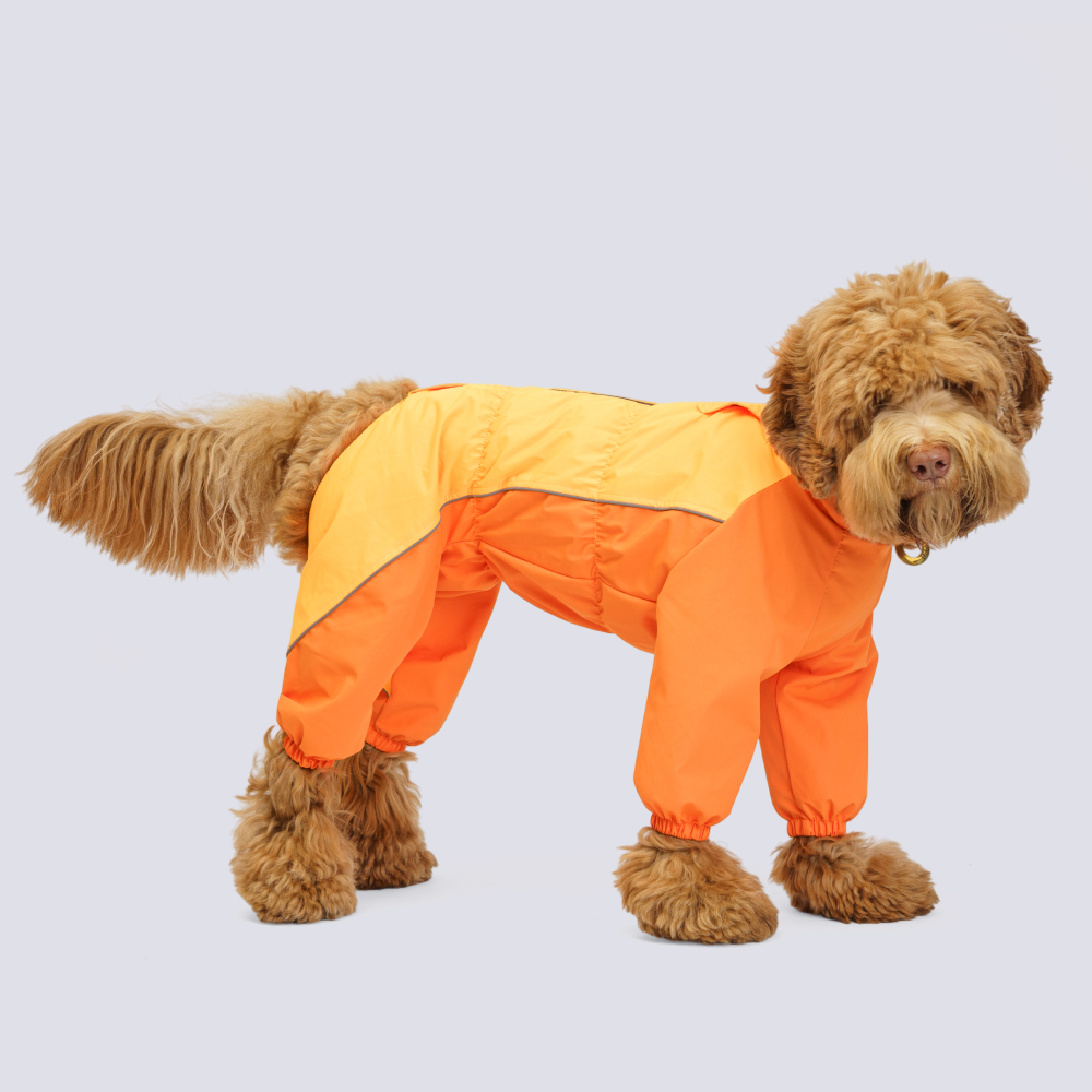 

Rungo Дождевик для собак породы пудель средний, обхват шеи 45 см, обхват груди 77 см, длина спины 44 см, оранжевый (девочка)