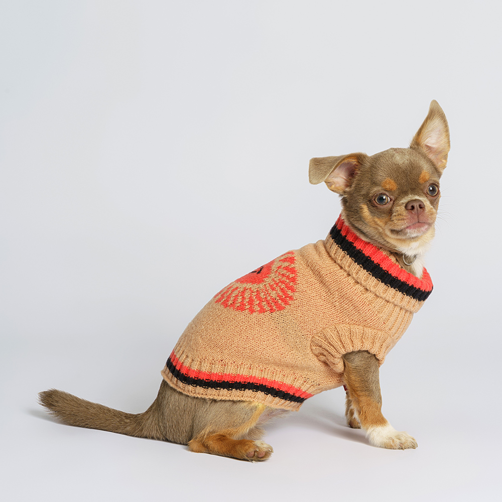 

Petmax Свитер с солнышком для кошек и собак, , бежевый