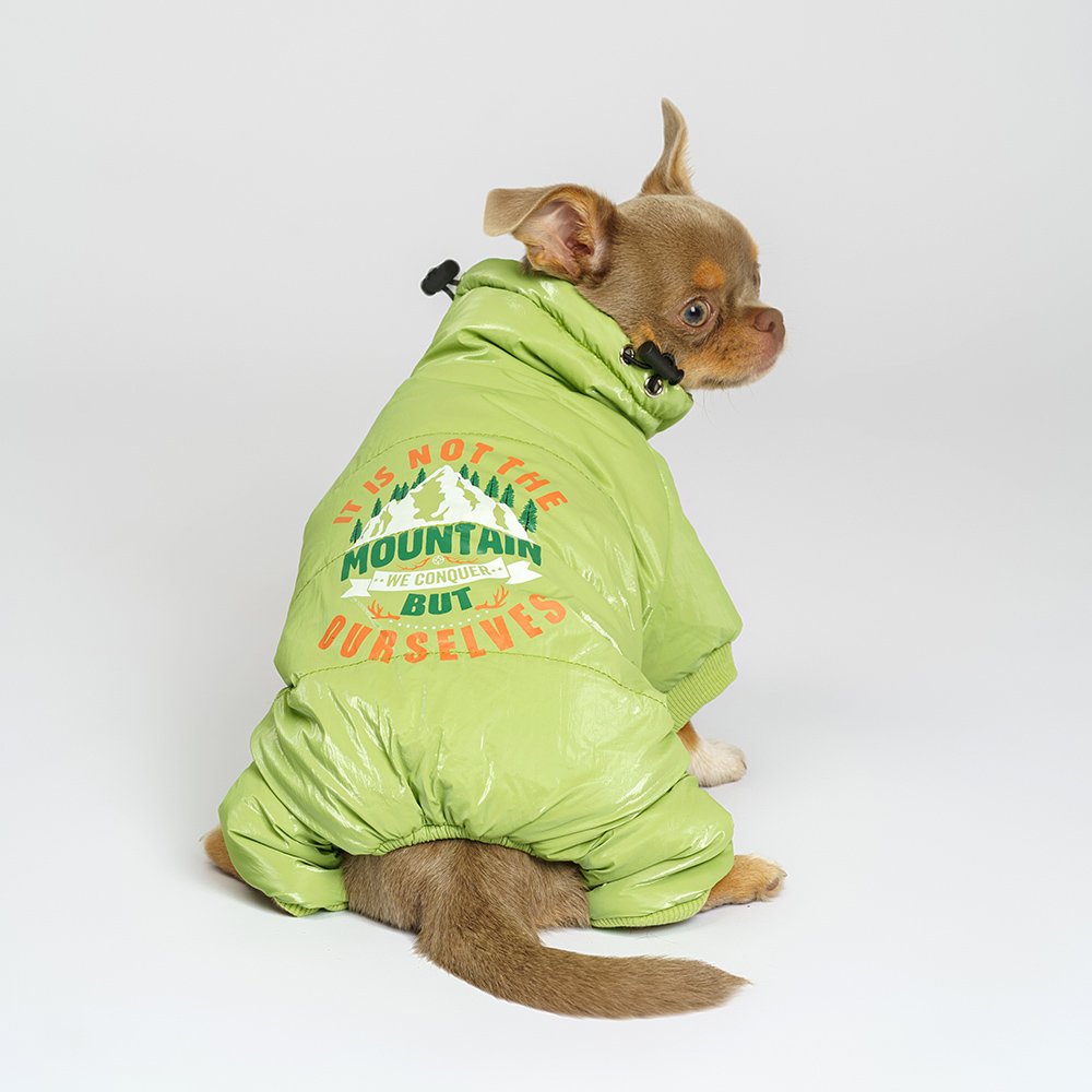 

Petmax Комбинезон для собак, , зеленый