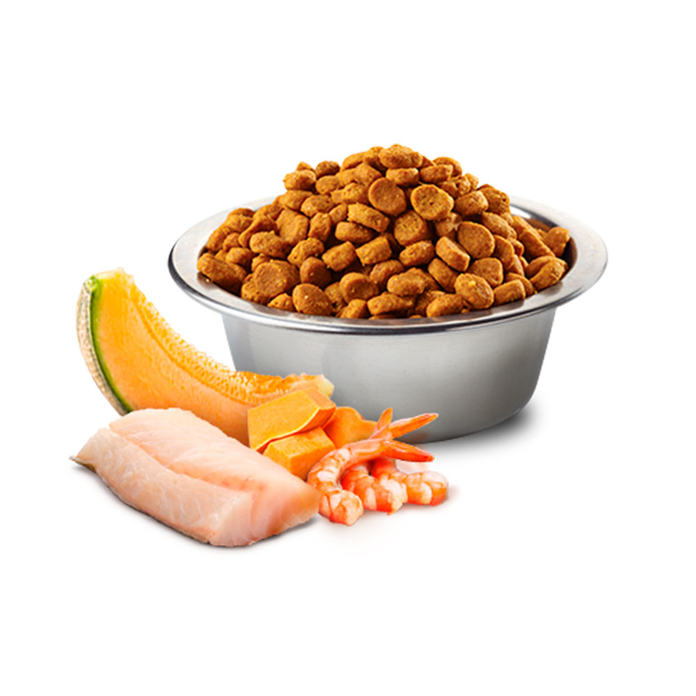 

Farmina Ocean Cat Сухой корм для котят, с треской, креветкой, тыквой и дыней, 1,5 кг