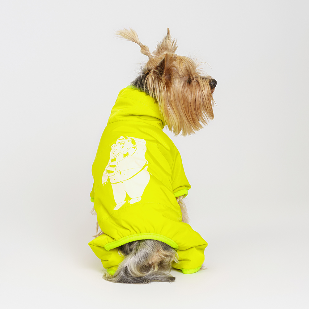 

Petmax Комбинезон с медведем для собак, , салатовый (девочка