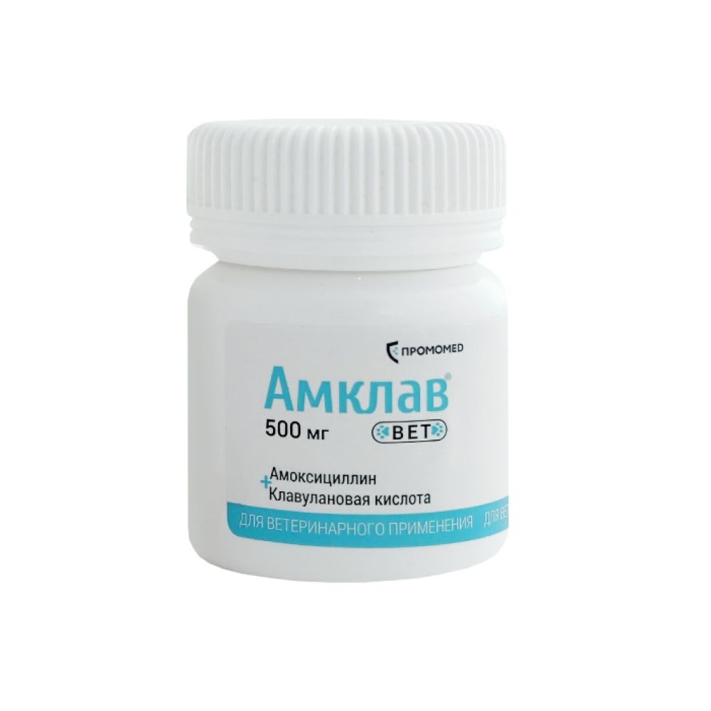 

ПРОМОМЕД Амклав Вет Антибактериальный препарат для кошек и собак 500 мг, 10 таблеток (по рецепту)