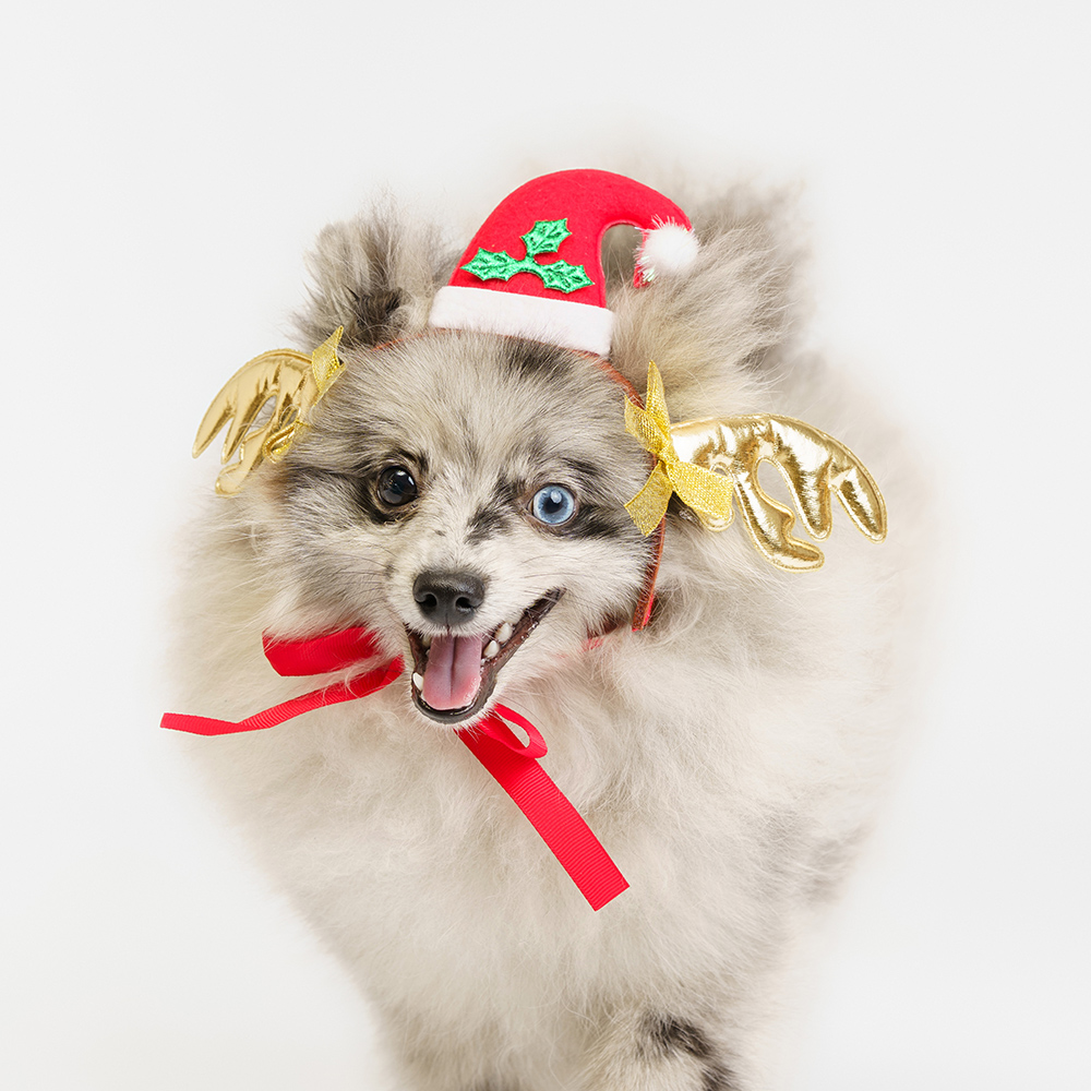 

RURRI Шапка с оленьими рогами для собак, 22,5х7 см, красный