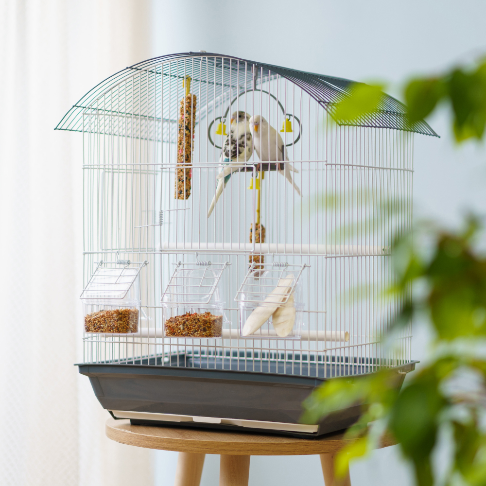 

Petmax Клетка для птиц, 37x28x47 см, бело-голубая, Разноцветный