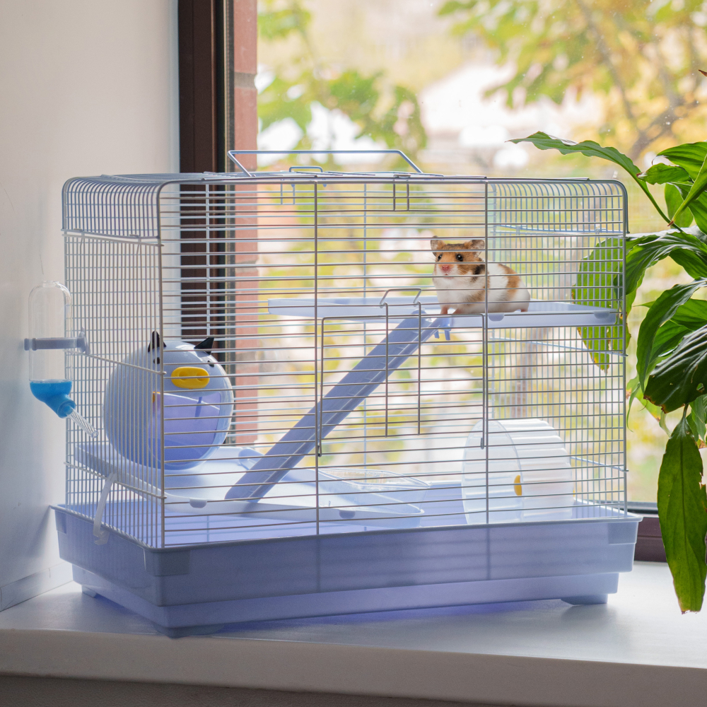 

Petmax Клетка для грызунов, 45,5x28,5x37 см, бело-голубая, Разноцветный