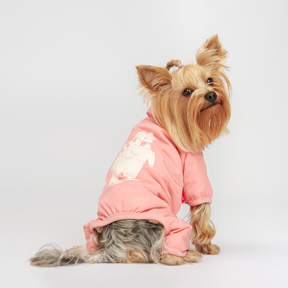 

Petmax Комбинезон с медведем для собак, , терракотовый (девочка, Коричневый