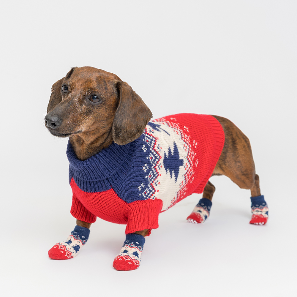 

Petmax Свитер для кошек и собак Елочки, , сине-красный, Синий