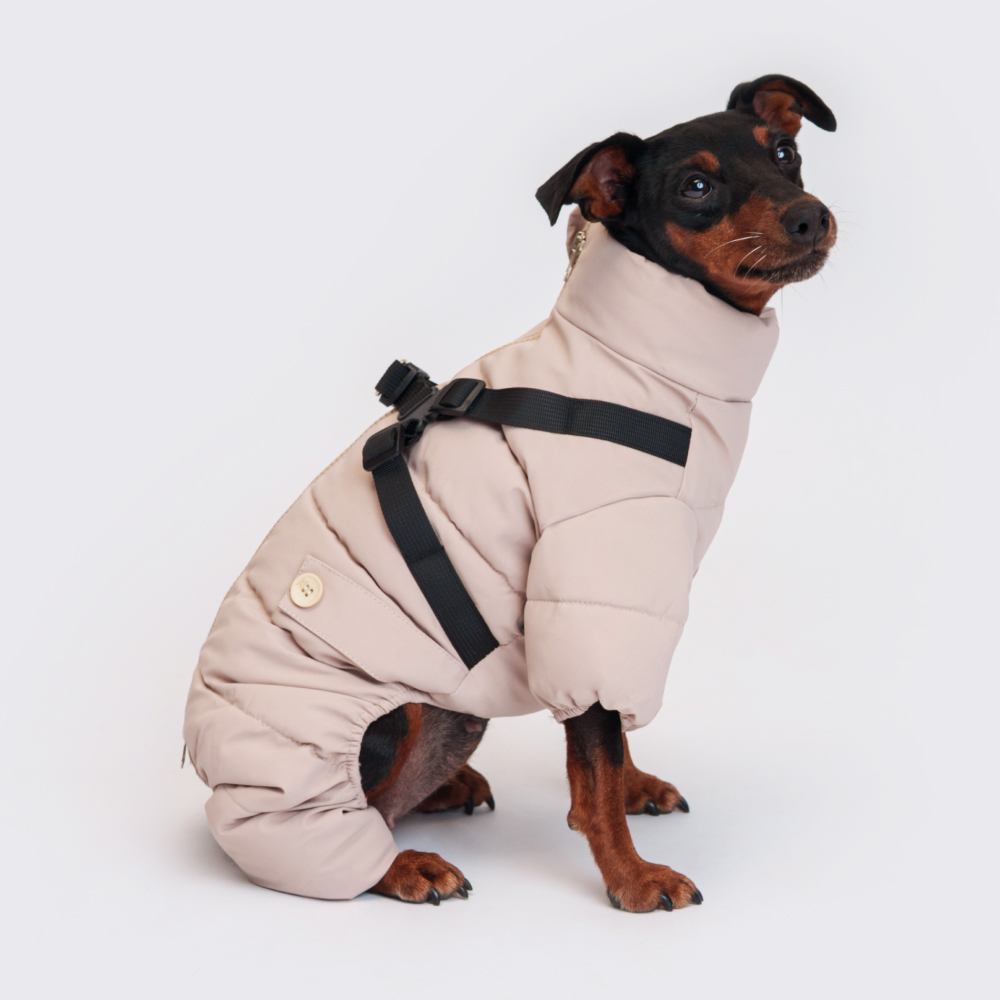 

RURRI Комбинезон на замке со шлейкой для собак, , серый